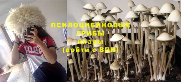 Альфа ПВП Магадан