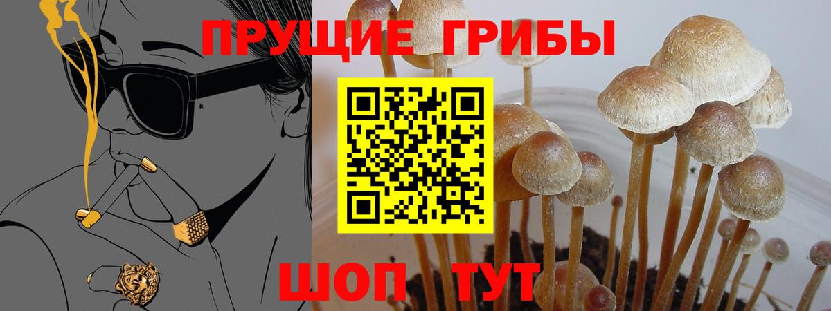 цены   Псилоцибиновые грибы прущие грибы  Вход с VPN  Урай 