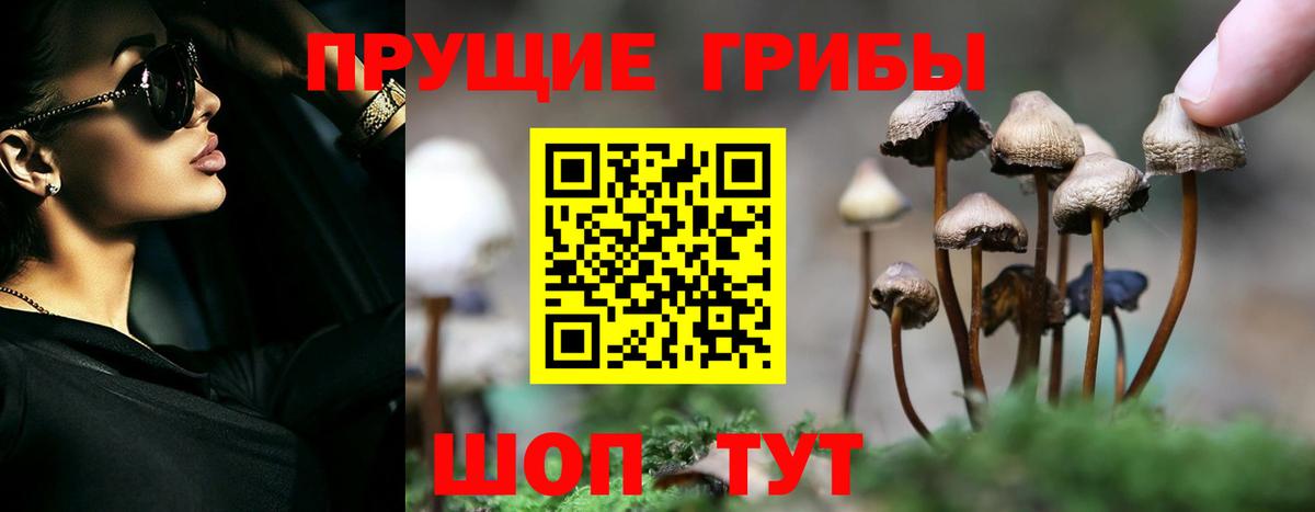 Псилоцибиновые грибы Magic Shrooms Урай